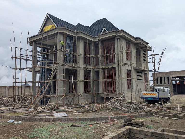 pxl 20260207 104212144.jpg